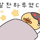 육하원칙충북 이미지