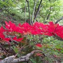 북설악 마산봉(馬山峯 : 1,052m). 병풍바위(1,058m). 천치봉(1,007m)대간령(大間嶺 : 641m)을 넘으며 주막(酒幕)의 추억(追憶)에 젖다 이미지