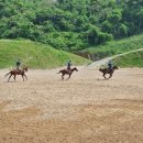 라온더마파크 이미지