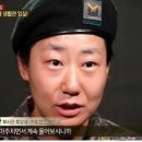 개일 이미지