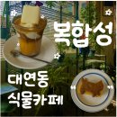 부산 식물카페 &#39;복합성&#39; 대연동 감성카페 내돈내산 솔직후기