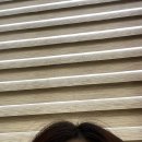 주식회사 해바라기에너지 | 미용실 클리닉 루체스터 찰랑찰랑 씨위드 클리닉샴푸 인생샴푸 추천