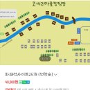 [강원도/평창] 미탄면 기화리 코끼리마을 캠핑장_별 잘보이는 깨끗한 캠핑장 추천_평창하나로마트_내돈내산