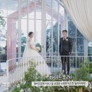 빌라드화이트 | 인천 빌라드마리 본식 서브스냅 화이트포레 보정본 수령후기