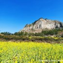 산방산 이미지
