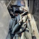 하나3농 이미지