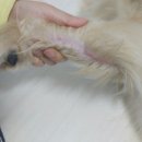 개스토랑 이미지