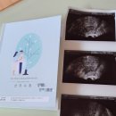 마리아산부인과의원 - 서구 가정로 358 | 마리아산부인과의원