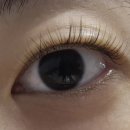 인천지하철2호선석바위시장역 | 결혼 준비 :: 구월동속눈썹펌은 반해썹! 노글루속눈썹펌 추천 후기