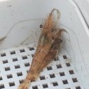 해동모텔 이미지