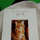 리드모어 이미지