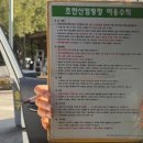 힐링빌리지 | 노원구 초안산 캠핑장 :) 서울 캠핑 초안산캠핑장 H18 힐링캠핑빌리지 &amp; 예약 &amp; 매점 &amp; 자리추천 &amp; 후기