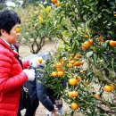 만길농장 이미지