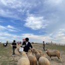 민기목장 이미지