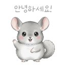 패디히얼