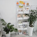 보들살롱 이미지