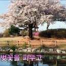 달빛섬 이미지
