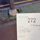메가엠지씨커피목포석현 | 메가커피 메뉴 추천, 할메가미숫커피 맛 칼로리 후기