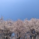 삼성25공인중개사사무소 이미지