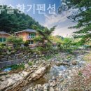 잣나무솔향기 이미지