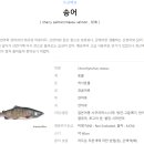 신기송어장횟집 이미지