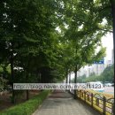 돌마초등길 이미지