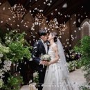 결혼준비 #9. 웨딩업체계약하기 (스드메,본식스냅, 본식DVD,헤어변형)