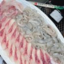 조은상회 | 부산 민락회센터 맛집 조은상회 | 광안리 횟집 추천, 퀄리티 좋은 회 후기