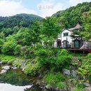 필스테이 네이버블로그