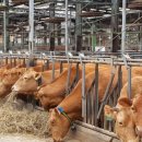 승리축산농장 이미지