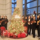 오카리나 (오카리나 꽃이 피었습니다) 이미지