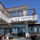 승마공원 | 제주승마체험 유채꽃 중문승마공원 체험 후기