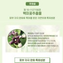 정서헤어 이미지