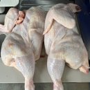 한국산업인력공단 대구지역본부 이미지