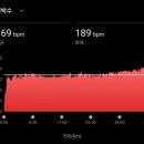 방배로27길 53 | 2026 서울마라톤(동마) 후기