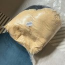 코지(COZY) | 반려동물 용품 필수템 겨울철 부드러운 강아지침대 COZY 코지 마약방석 후기