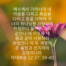 여수동백악기