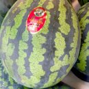 우리유통 이미지