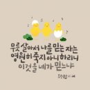 욘가 이미지