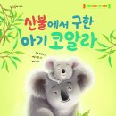 [별숲 신간] 생명을 지키는 기후 그림책 ﻿《산불에서 구한 아기 코알라》 이미지