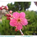 나비농장2 이미지