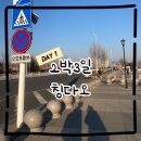 홍*희 - 합천군 임북2길 85-6 | [칭다오] 불야성 가는 법, 희가덕 손만두 메뉴, 마트 쇼핑, 요거트 추천, 타이동 야시장 투어