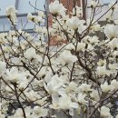 아디다스 군산점 이미지