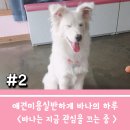 나한테 반하개 이미지