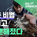 동안 회춘의 비법 &#39;이것&#39; 먹고 몸이 가뿐해졌다 이미지