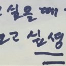 내다람쥐 이미지