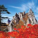 광교중학교 이미지