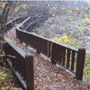 통고산자연휴양림 이미지