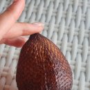 해양당구장 | 바탐 리조트 추천 가성비 투리비치 아이랑 가기 좋은 수영장 오션뷰 숙소