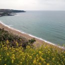 제주 수월봉 화산쇄설층 | 제주 여행 - 중문, 안덕계곡, 제주추사관, 수월봉 화산쇄설층, 협재 &amp; 비양도